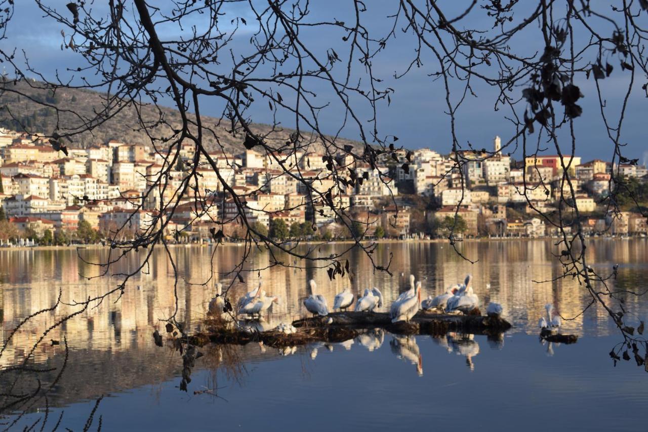 Appartement Kastoria Apartment